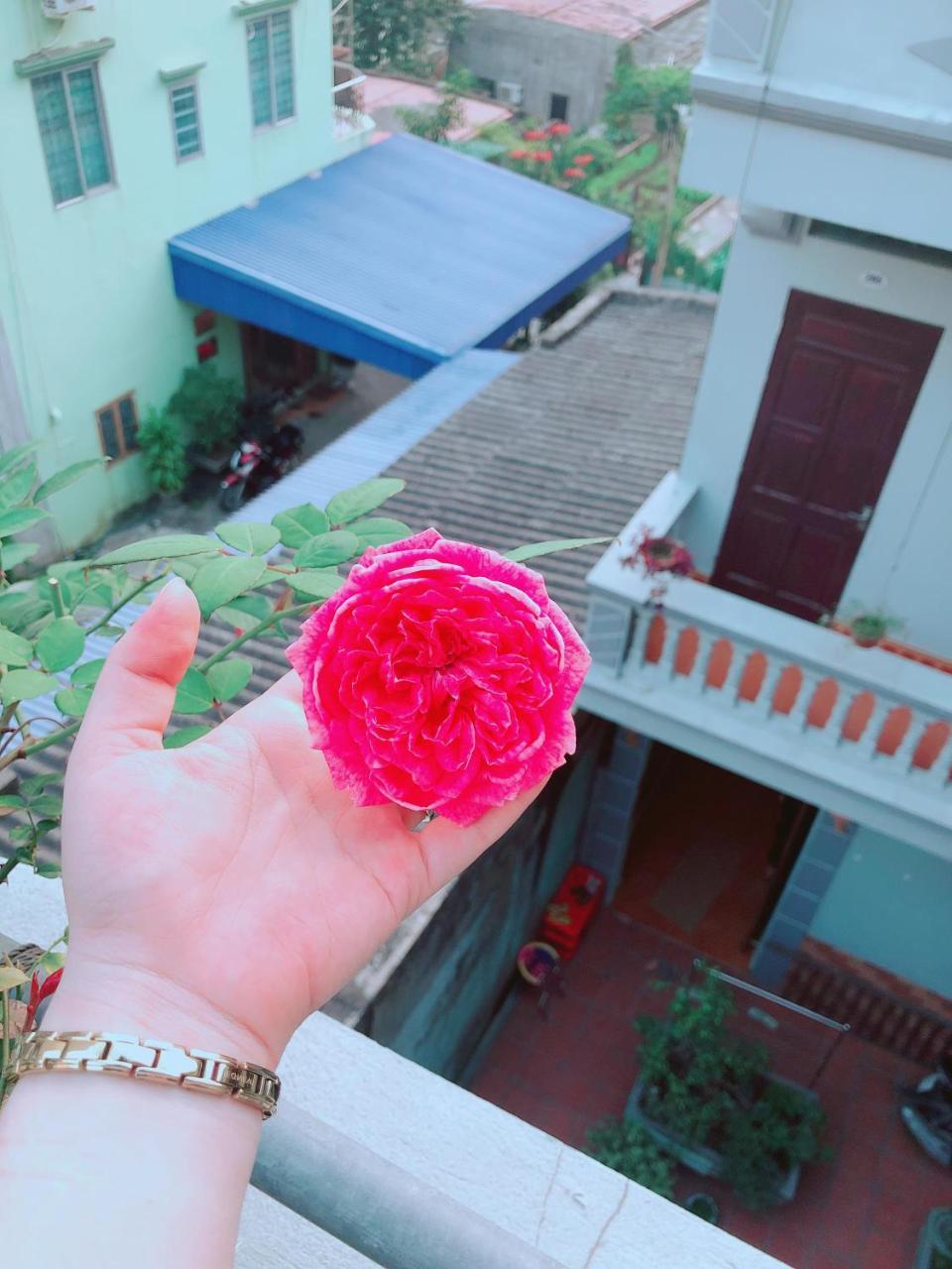 Pi'S Homestay Catba Dong Khe Sau Buitenkant foto